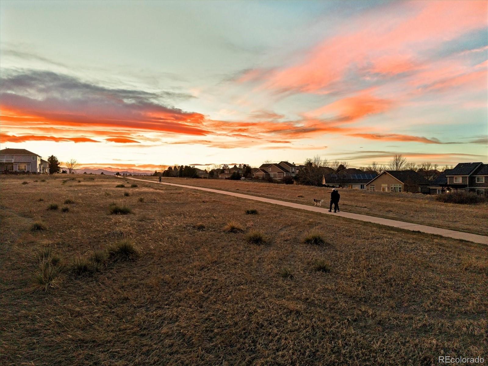 4597 Whitehall Lane Highlands Ranch, CO 80126 - Photo 3 of 50