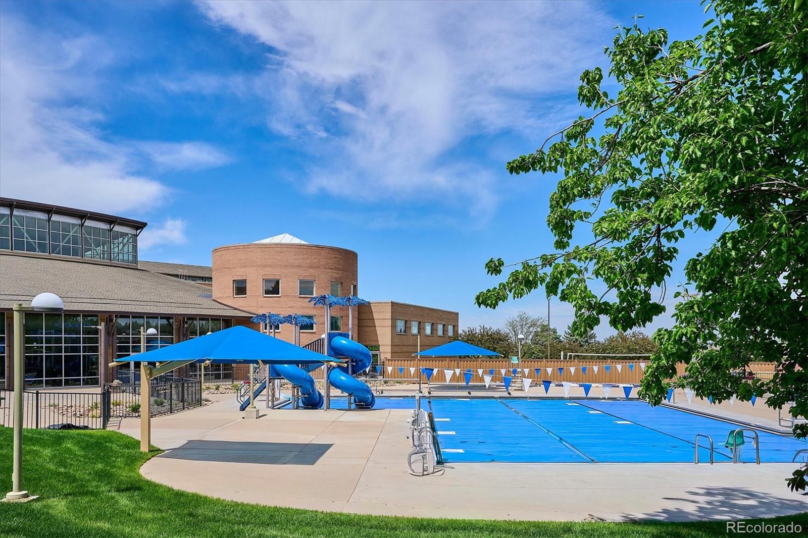 4597 Whitehall Lane Highlands Ranch, CO 80126 - Photo 46 of 50