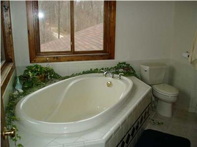 2573 Marble Road Belding, MI 48809 - Photo 3 of 15 Additional Photo