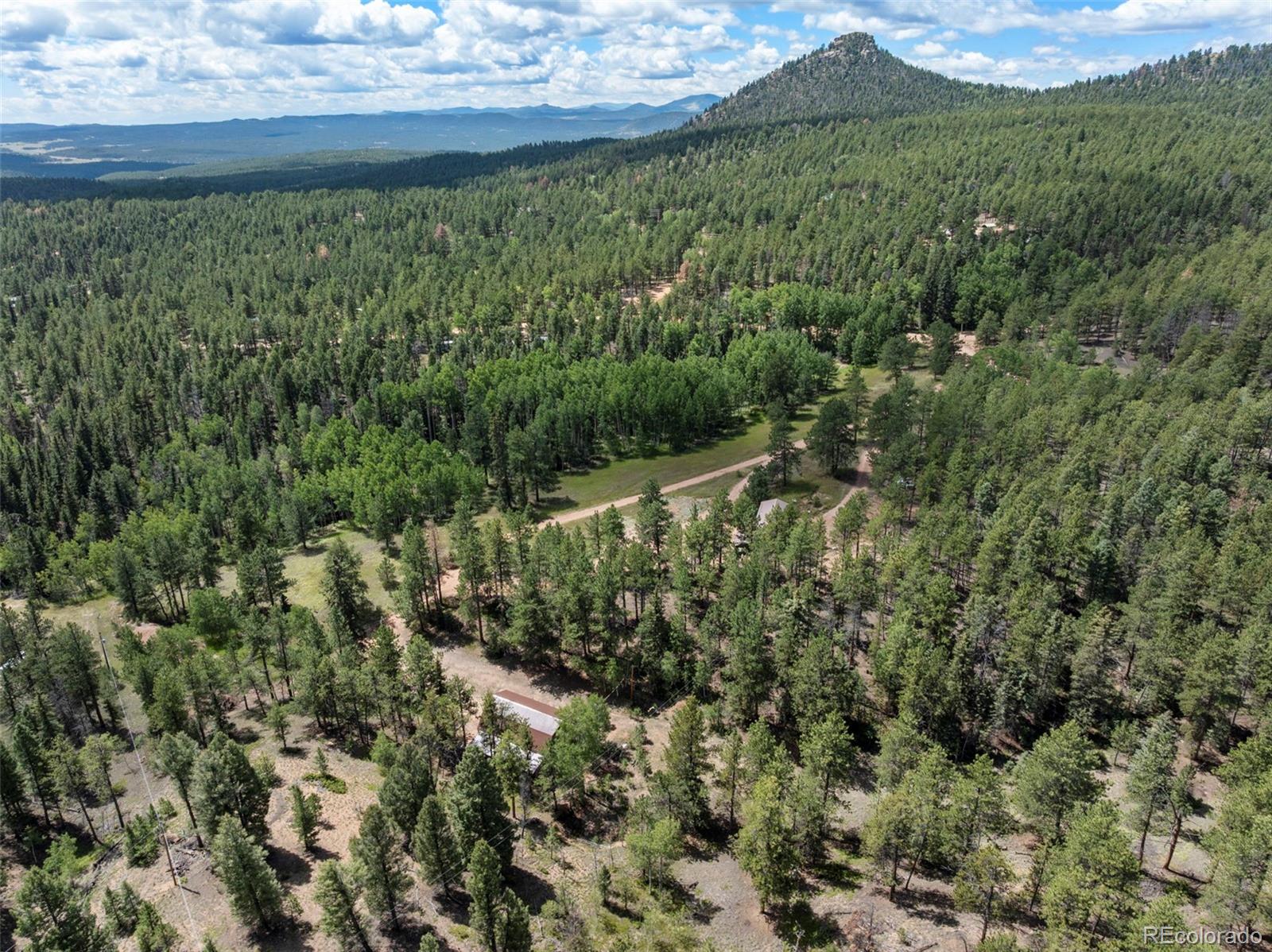 4710 Wildhorn Road Florissant, CO 80816 - Photo 25 of 41
