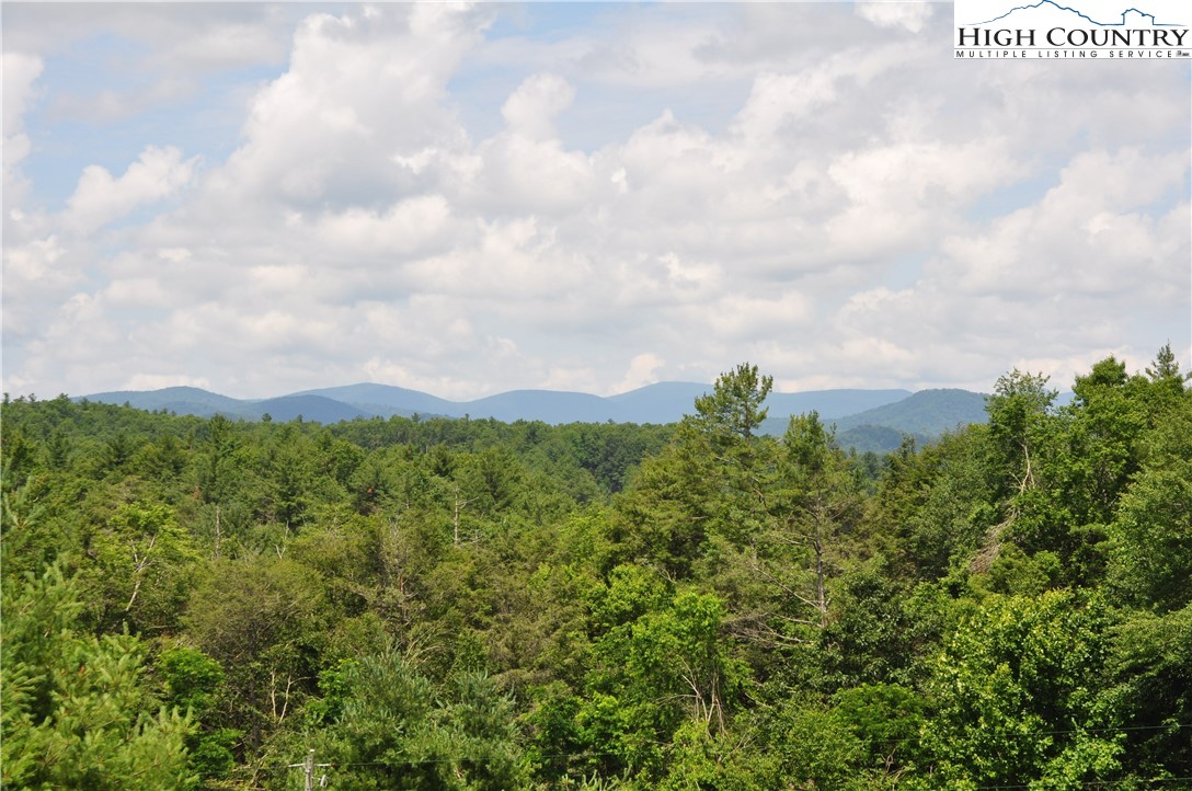 Bare Road West Jefferson, NC 28694 - Photo 3 of 41 Gallery Image 3