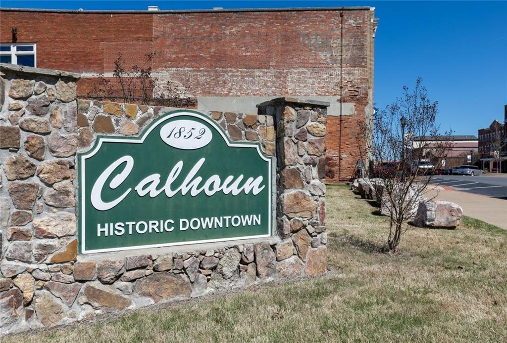 114 Saddle Ridge Trail Calhoun, GA 30701 - Photo 20 of 23