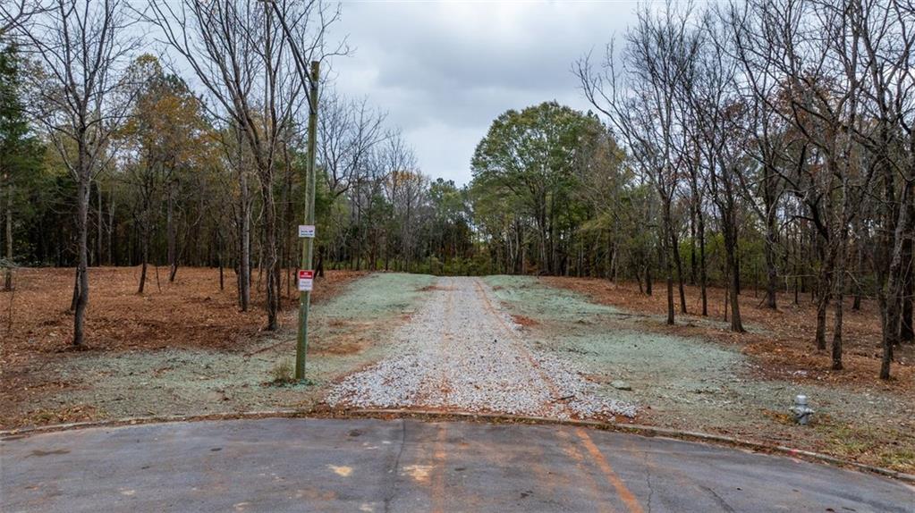 3 Shiloh Ridge Trail Snellville, GA 30039 - Photo 9 of 11 a view of a backyard with a trees