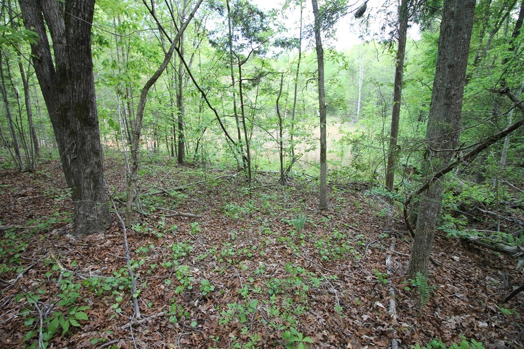 Plank Road, Unit 20C Kenbridge, VA 23944 - Photo 7 of 19 Gallery Image 7