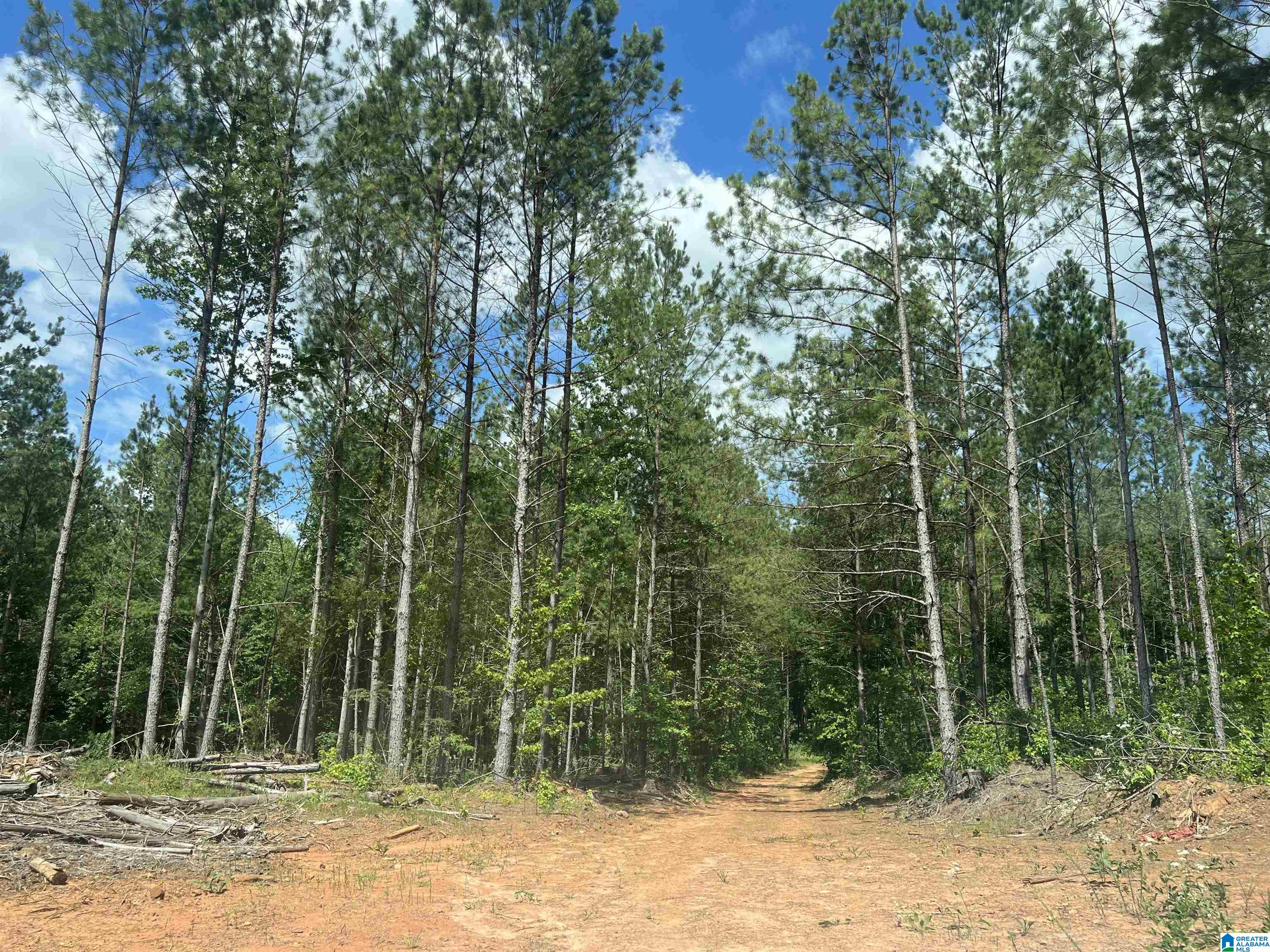 0 County Road 689, Unit 1 Ranburne, AL 36273 - Photo 15 of 69