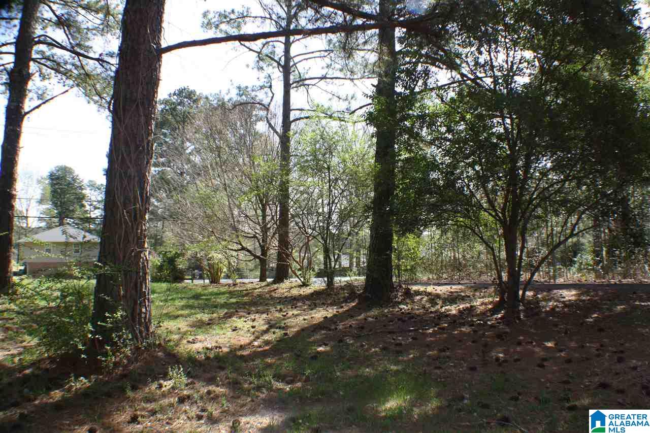 0 Coleman Road, Unit 1 Anniston, AL 36207 - Photo 9 of 32