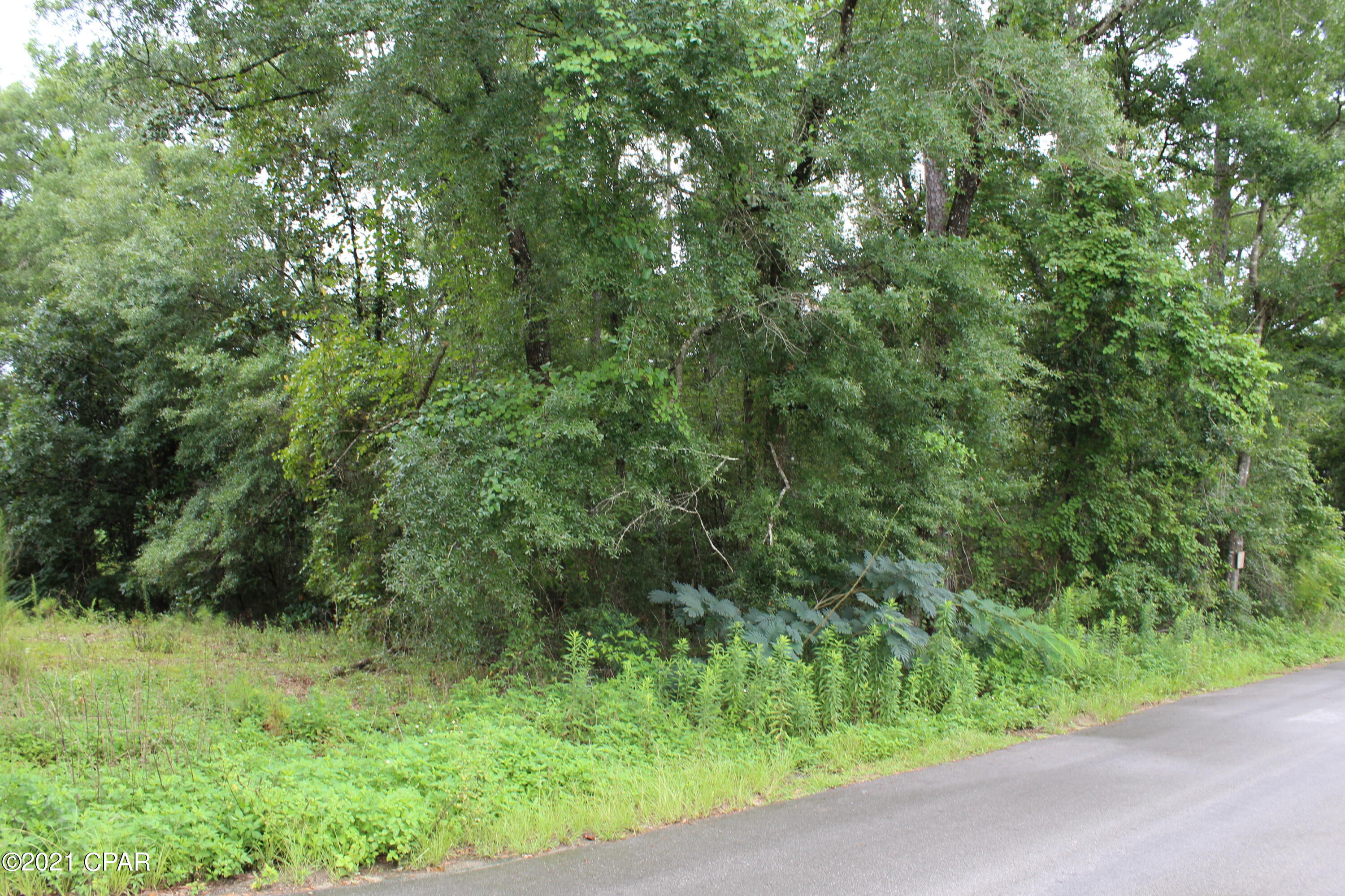 Tbd Spool Mill Road Vernon, FL 32462 - Photo 2 of 10 Gallery Image 2