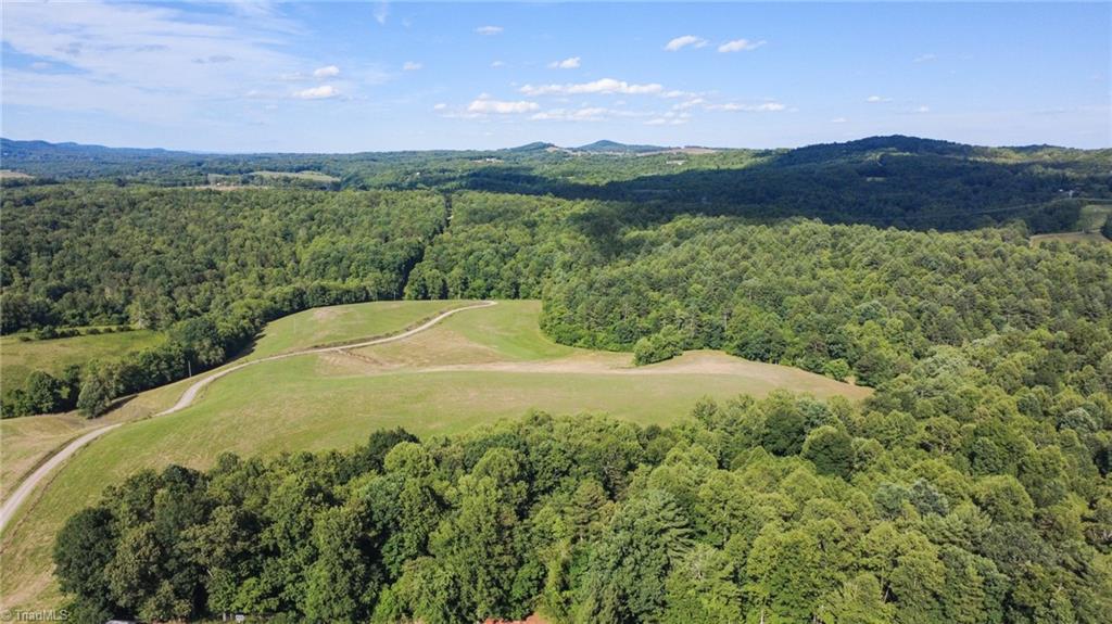 1779 Roundhill Church Road Traphill, NC 28685 - Photo 9 of 48 Gallery Image 9