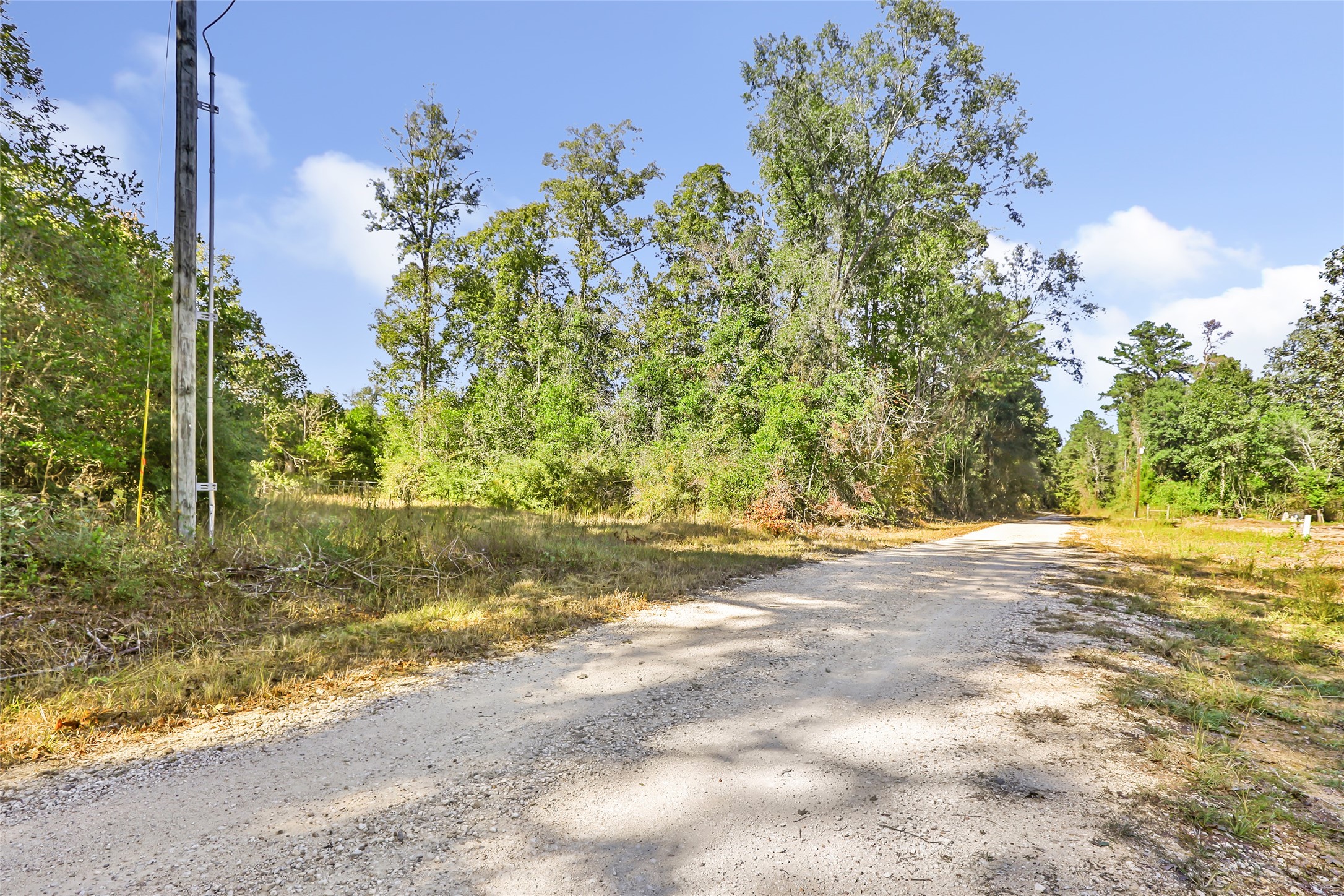 1224 Plum Pudding Road Livingston, TX 77351 - Photo 9 of 11 a view of a yard with plants and trees