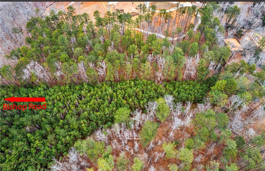 7000 Bishop Road Fairburn, GA 30213 - Photo 4 of 5 a backyard of a house with lots of trees