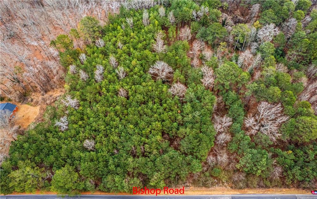 7000 Bishop Road Fairburn, GA 30213 - Photo 5 of 5 a view of a lush green forest