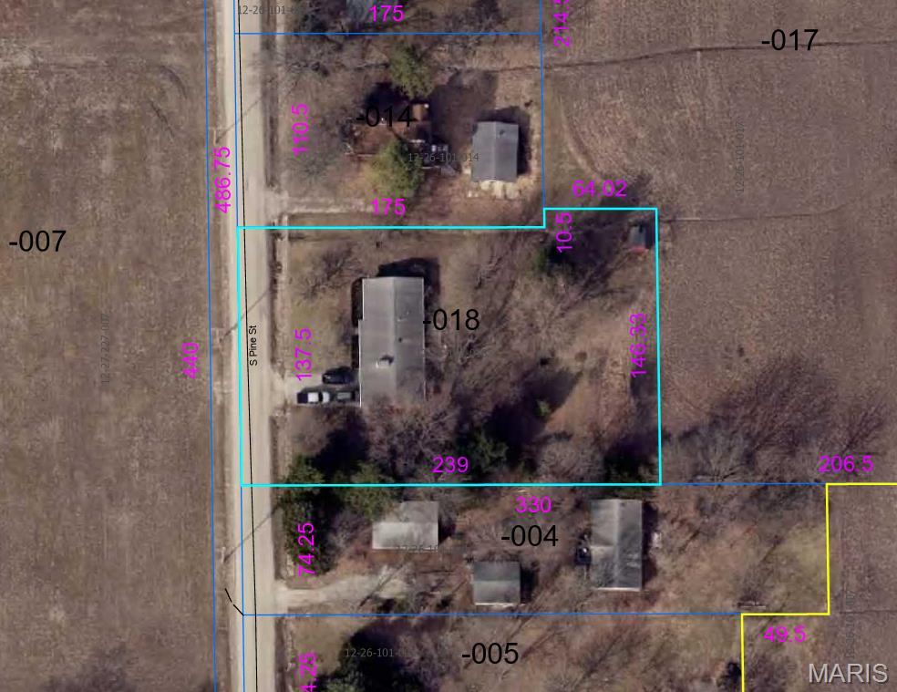 438 South Pine Street Irving, IL 62051 - Photo 2 of 2