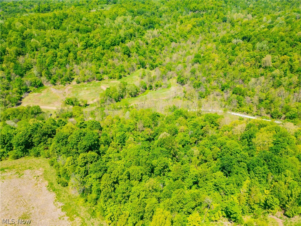 37500 Goose Run Road Dexter City, OH 45727 - Photo 12 of 50