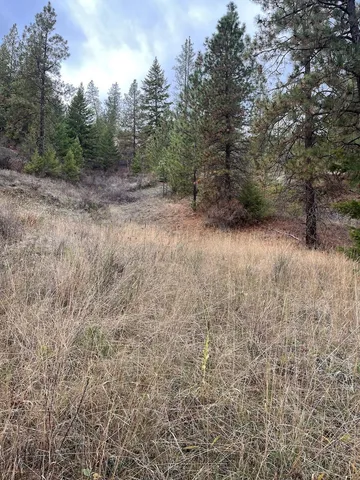 $65,000 | Lot 15-16 North Chuckar Lane, Davenport, WA 99122