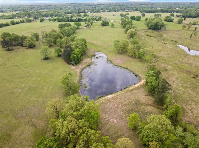 $619,000 | 7777 Farm To Market 1001, Cookville, TX 75558