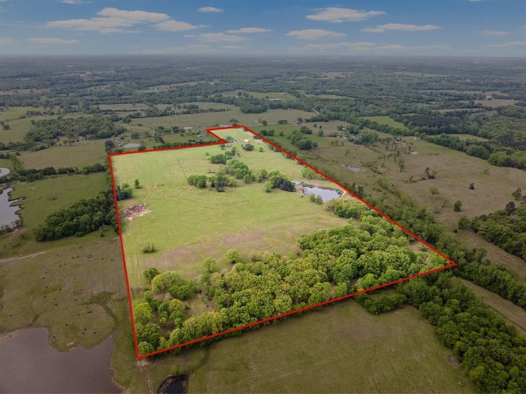 7777 Farm To Market 1001 Cookville, TX 75558 - Photo 3 of 30