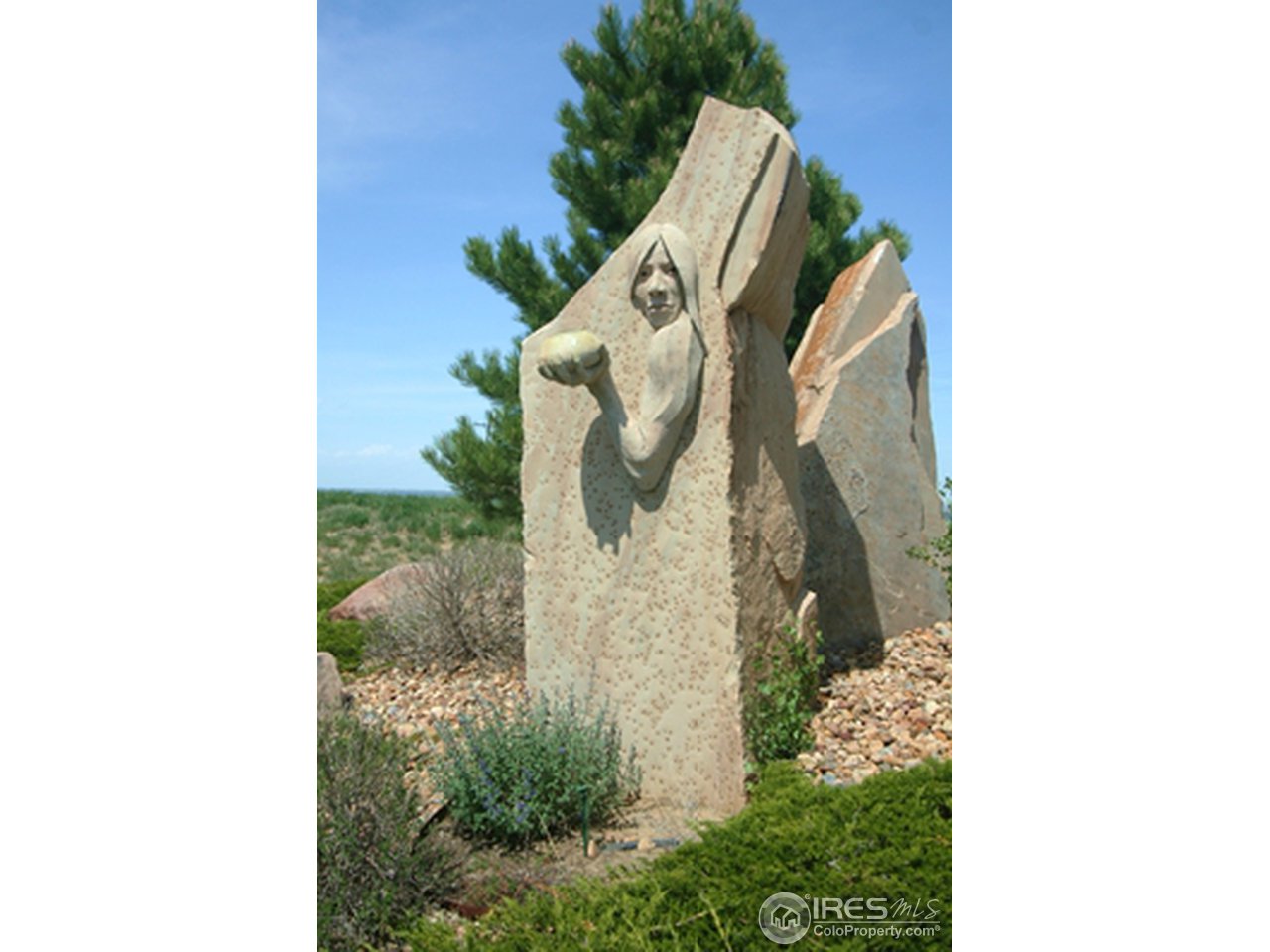 6558 Legend Ridge Trail Niwot, CO 80503 - Photo 3 of 18 Gallery Image 3
