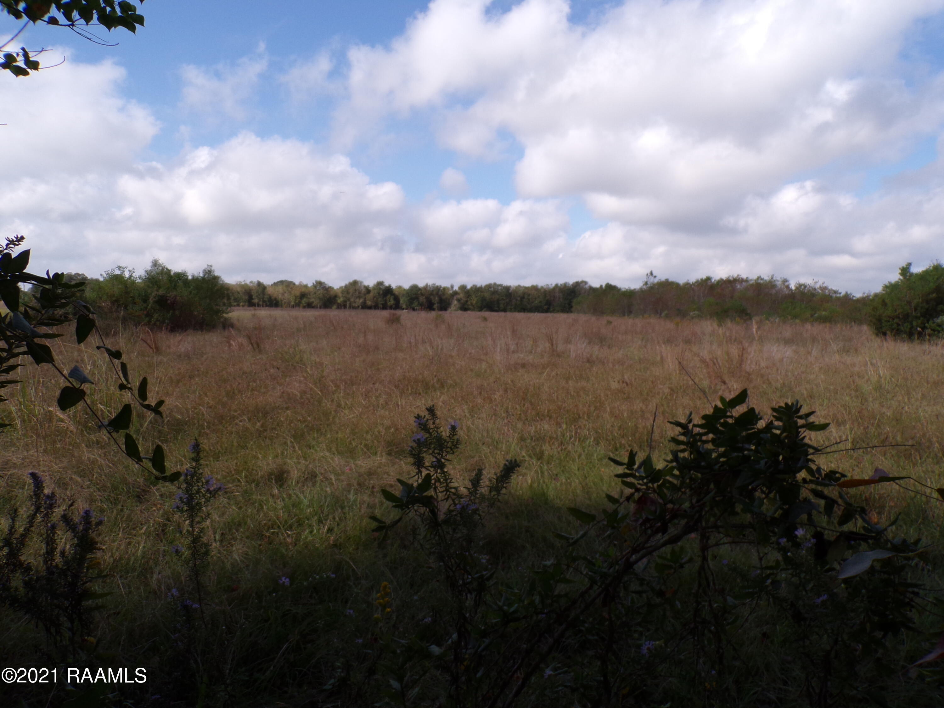 Tbd Nicole Road Church Point, LA 70525 - Photo 4 of 6 100_1149