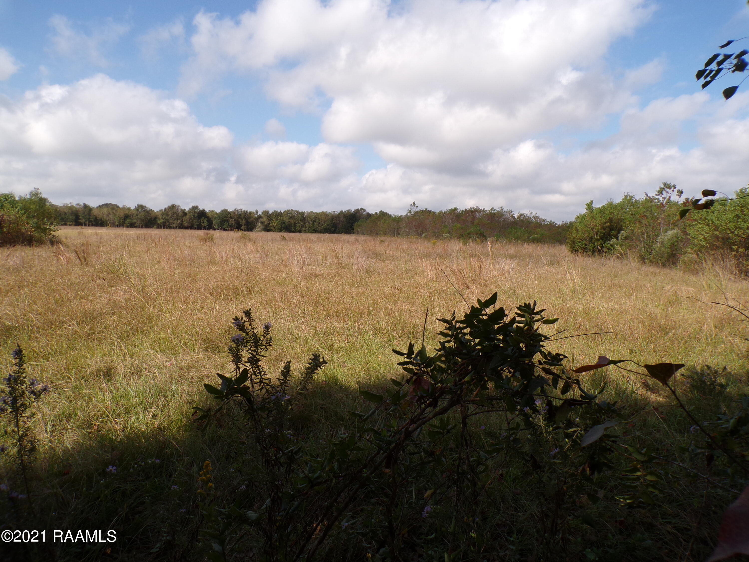 Tbd Nicole Road Church Point, LA 70525 - Photo 6 of 6 100_1151