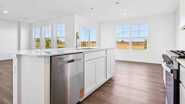 $401,990 | 1248 Linden Terrace, Hampshire, IL 60140