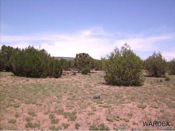 0 Fort Rock Road Kingman, AZ 86401 - Photo 1 of 23 Fort Rock Rd