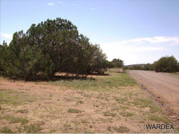 0 Fort Rock Road Kingman, AZ 86401 - Photo 11 of 23 12