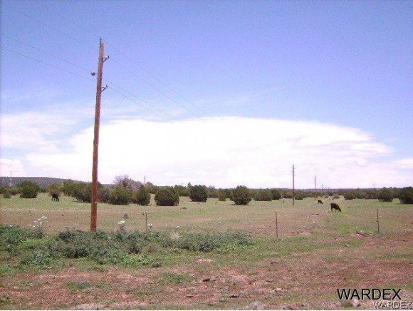 0 Fort Rock Road Kingman, AZ 86401 - Photo 13 of 23 14