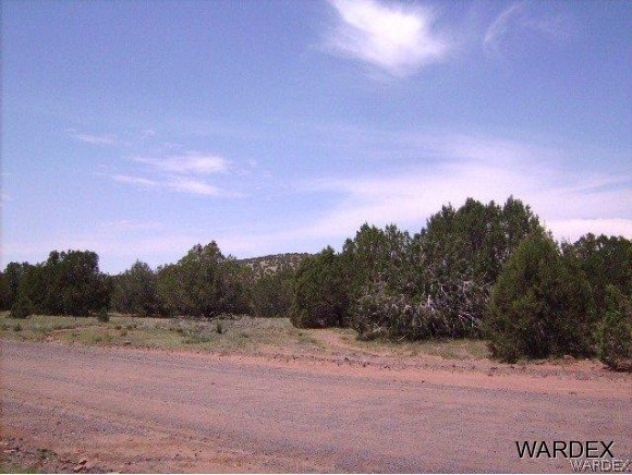 0 Fort Rock Road Kingman, AZ 86401 - Photo 14 of 23 Road
