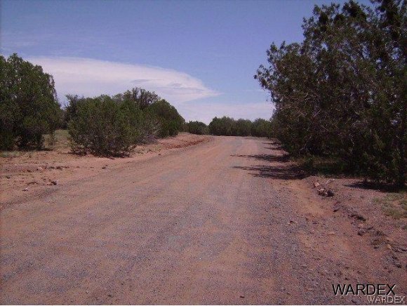 0 Fort Rock Road Kingman, AZ 86401 - Photo 15 of 23 More Road