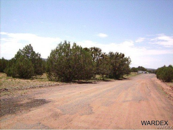 0 Fort Rock Road Kingman, AZ 86401 - Photo 16 of 23 Good Road To Property