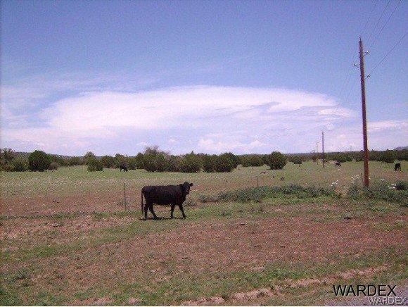 0 Fort Rock Road Kingman, AZ 86401 - Photo 17 of 23 Power To Back of Lot