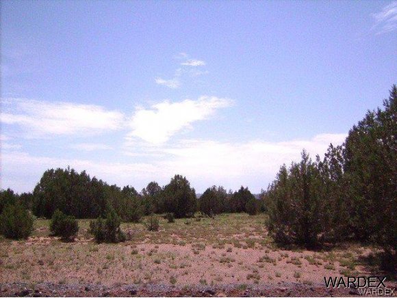0 Fort Rock Road Kingman, AZ 86401 - Photo 19 of 23 Cedar Junipers