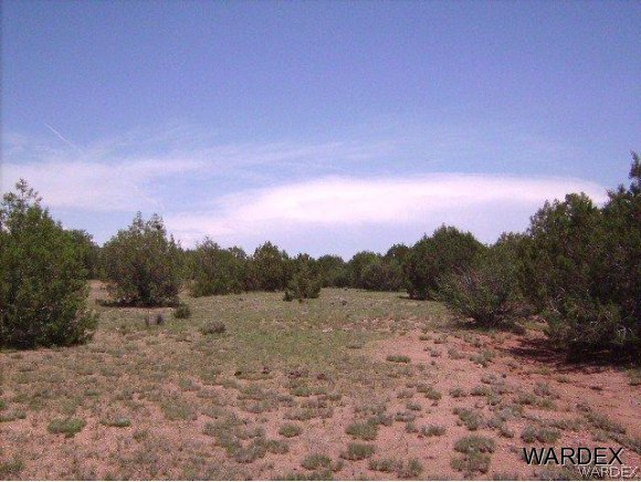 0 Fort Rock Road Kingman, AZ 86401 - Photo 2 of 23 2