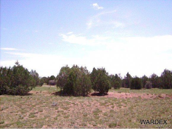 0 Fort Rock Road Kingman, AZ 86401 - Photo 3 of 23 4