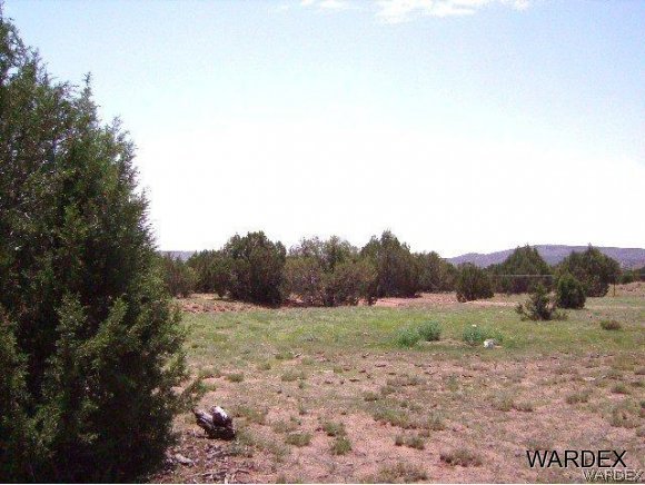 0 Fort Rock Road Kingman, AZ 86401 - Photo 4 of 23 5