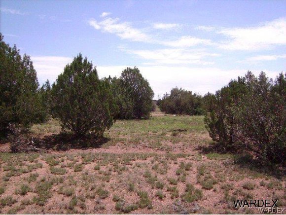0 Fort Rock Road Kingman, AZ 86401 - Photo 7 of 23 8