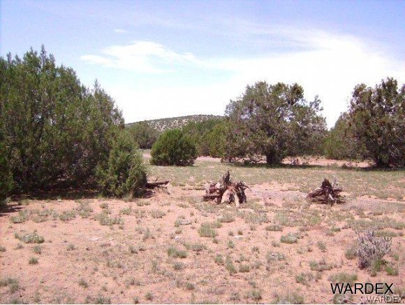 0 Fort Rock Road Kingman, AZ 86401 - Photo 8 of 23 9