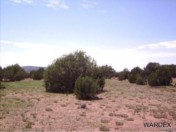 0 Fort Rock Road Kingman, AZ 86401 - Photo 9 of 23 10