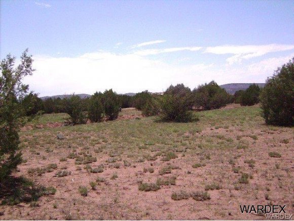 0 Fort Rock Road Kingman, AZ 86401 - Photo 10 of 23 11