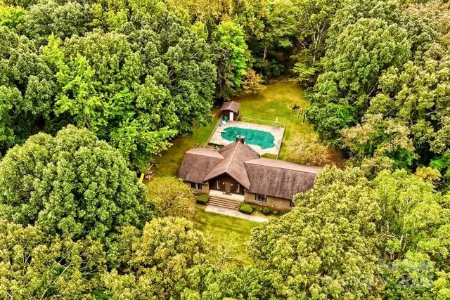 a picture of a tree with a garden