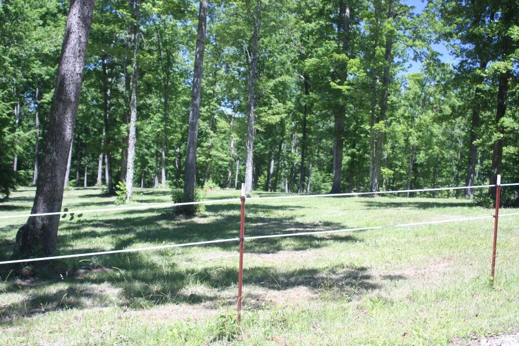 1241 Darrow Ridge Road Jamestown, TN 38556 - Photo 21 of 28 IMG_3147 (1024x683)