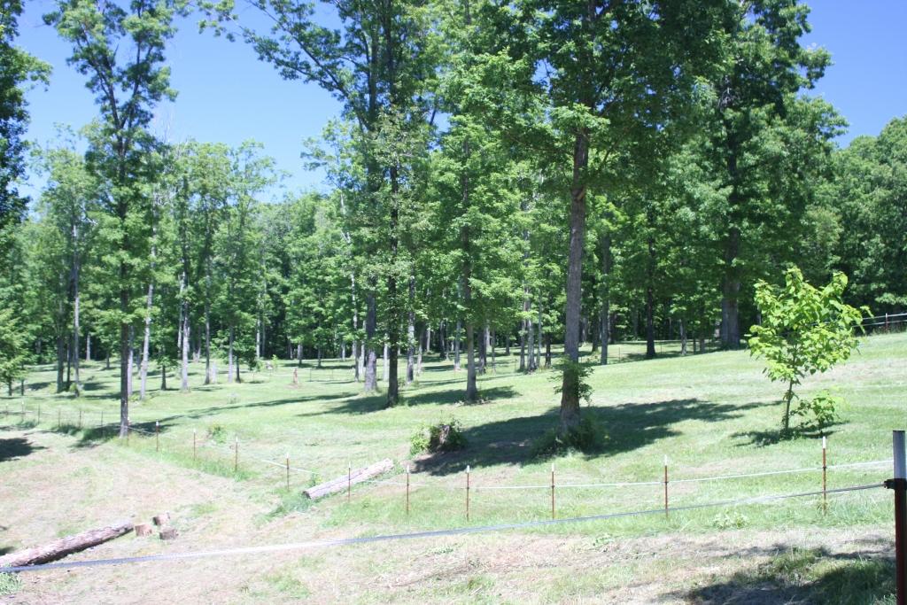 1241 Darrow Ridge Road Jamestown, TN 38556 - Photo 23 of 28 IMG_3156 (1024x683)