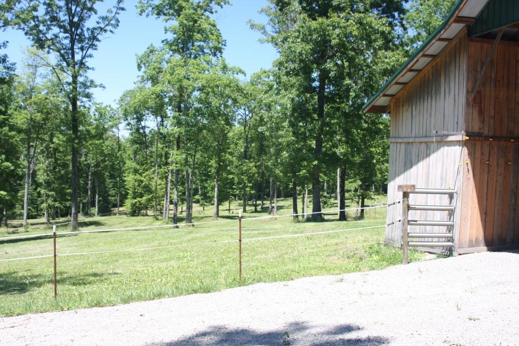 1241 Darrow Ridge Road Jamestown, TN 38556 - Photo 24 of 28 IMG_3159 (1024x683)