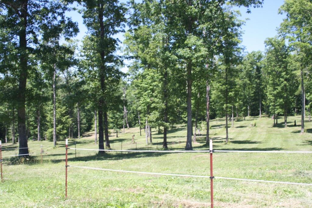 1241 Darrow Ridge Road Jamestown, TN 38556 - Photo 25 of 28 IMG_3162 (1024x683)