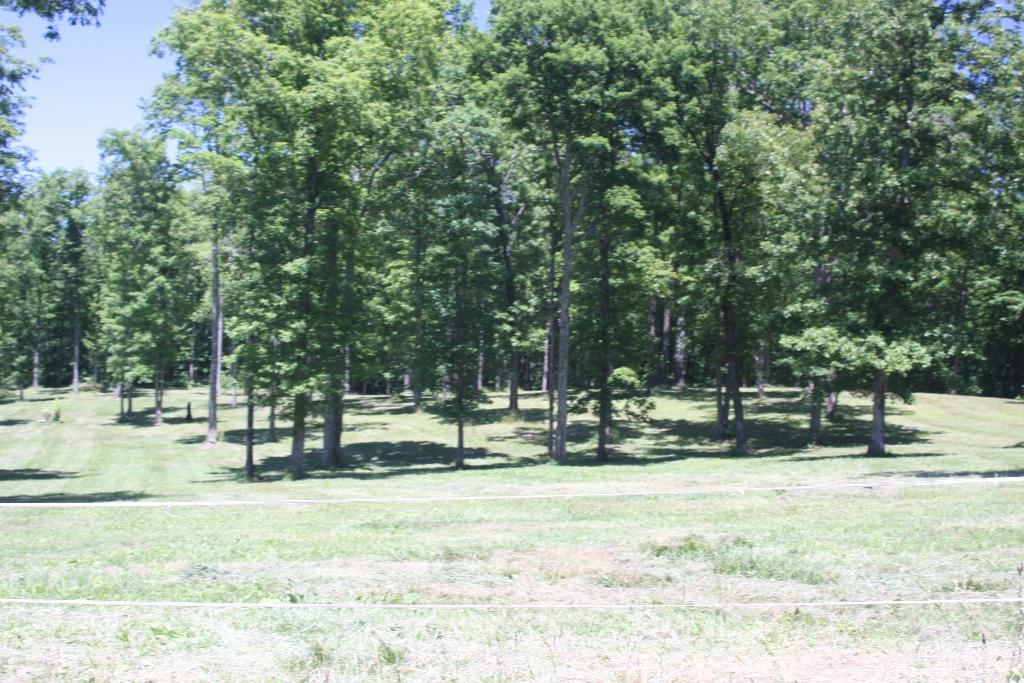 1241 Darrow Ridge Road Jamestown, TN 38556 - Photo 26 of 28 IMG_3165 (1024x683)
