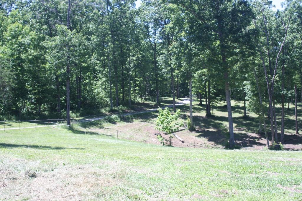 1241 Darrow Ridge Road Jamestown, TN 38556 - Photo 27 of 28 IMG_3168 (1024x683)