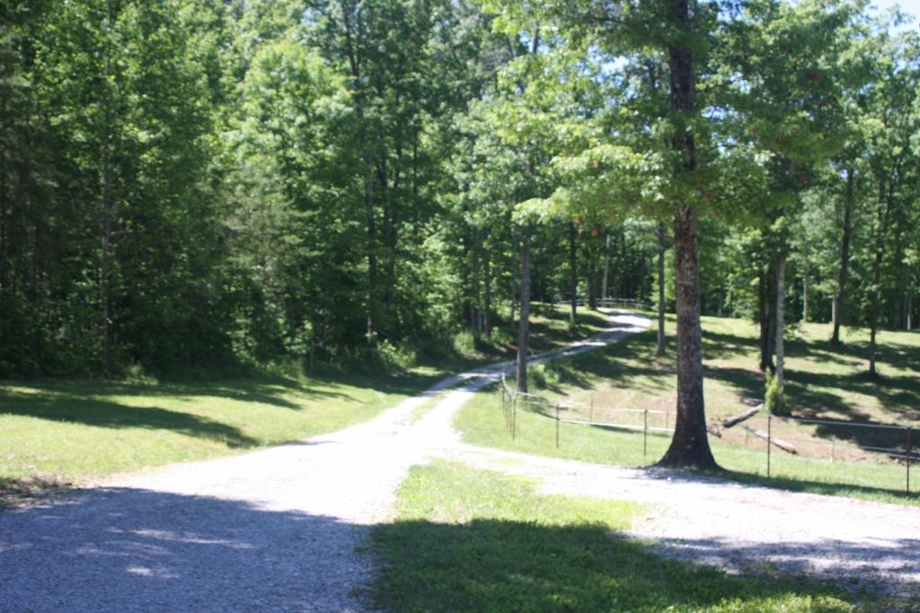 1241 Darrow Ridge Road Jamestown, TN 38556 - Photo 28 of 28 IMG_3183 (1024x683)