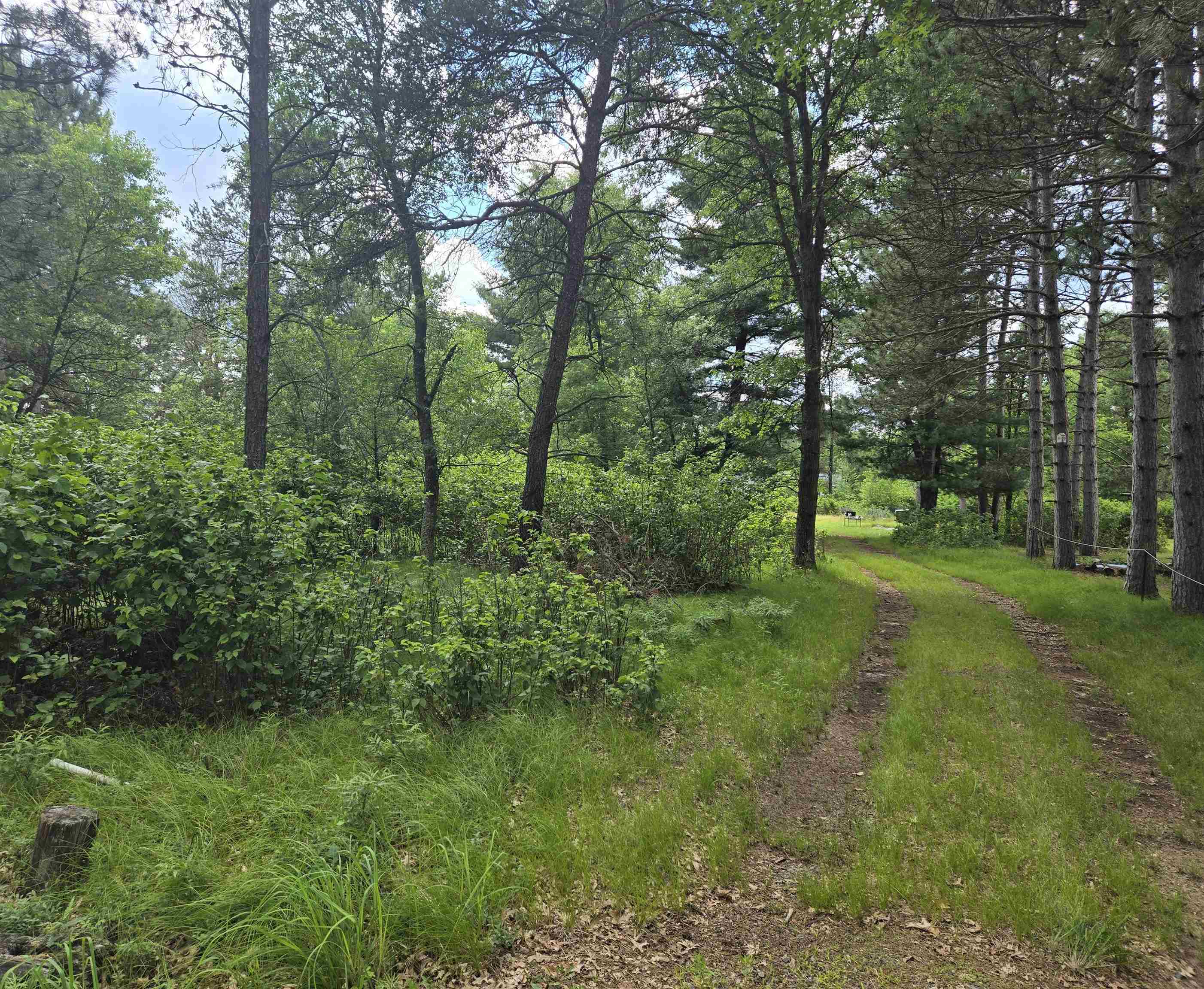 856 Sterling Road Nekoosa, WI 54457 - Photo 2 of 14