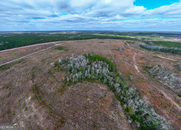 a view of a yard with an outdoor space