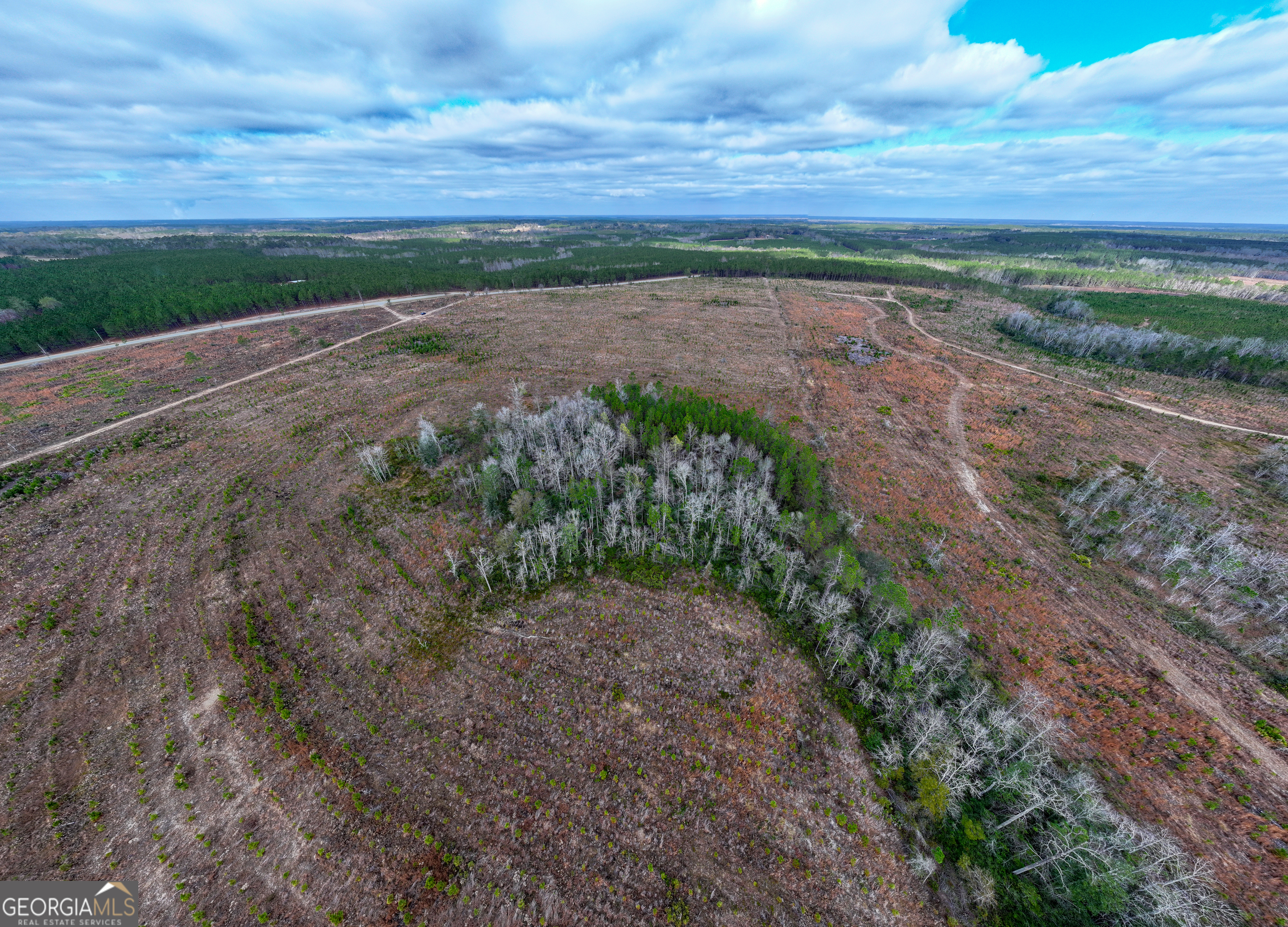 121 Highway 121 Surrency, GA 31563 - Photo 11 of 15 a view of a yard with an outdoor space